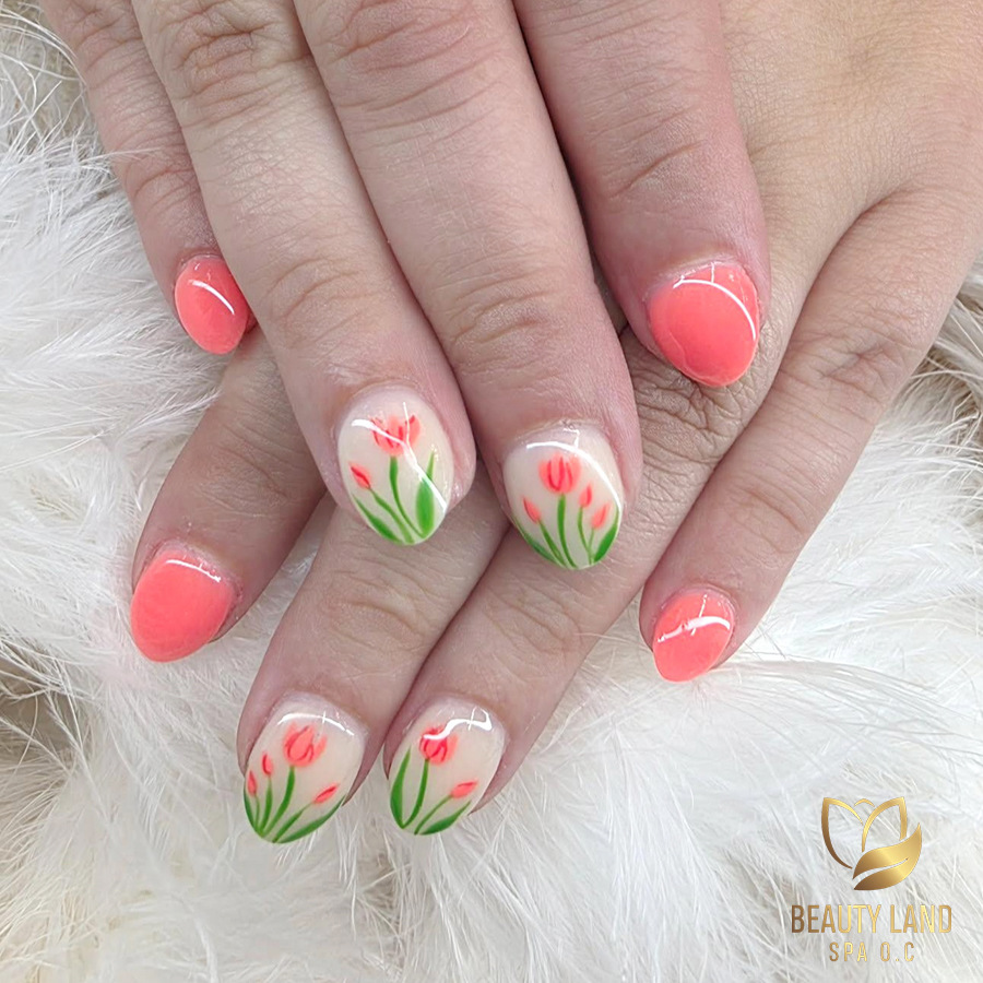 Beauty Land Spa OC
